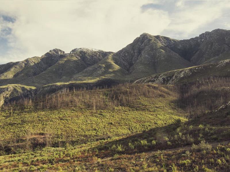 De Companjie Bed & Breakfast Swellendam Ngoại thất bức ảnh